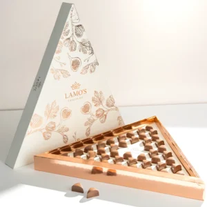 Gourmet Fusion Triangle Box