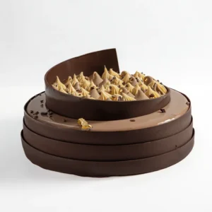 CHOCOLATE ENTREMET